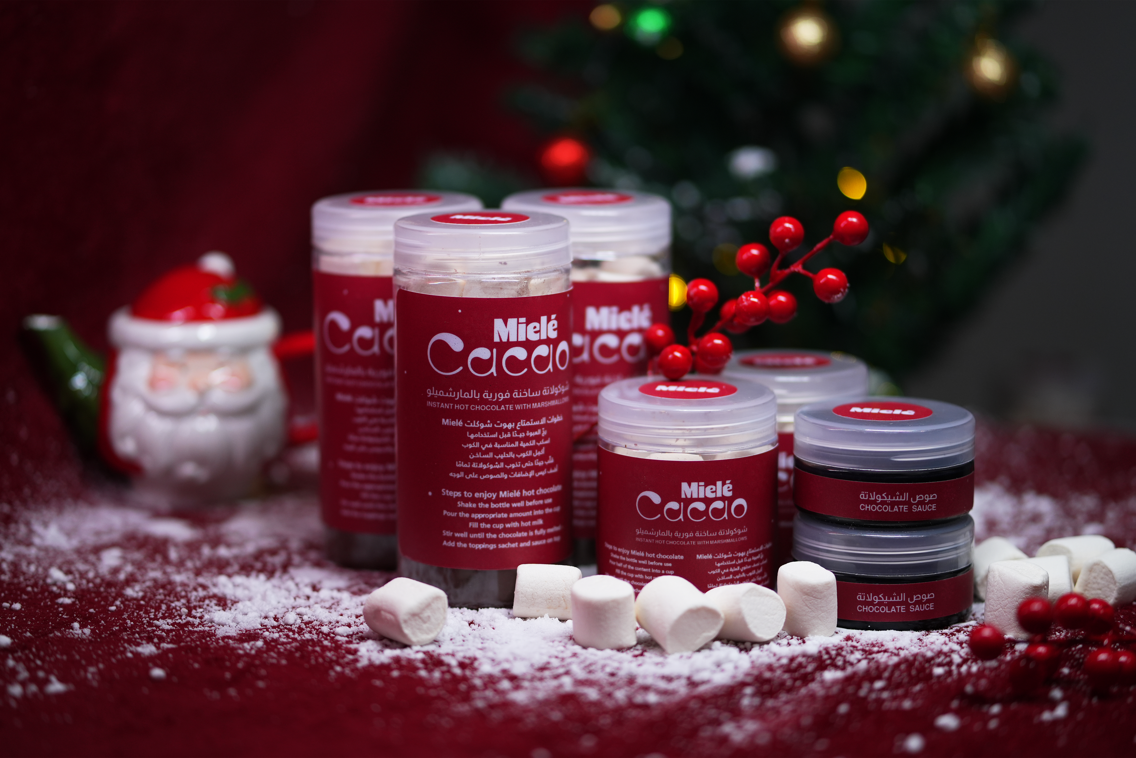 Hot chocolate with marshmallows